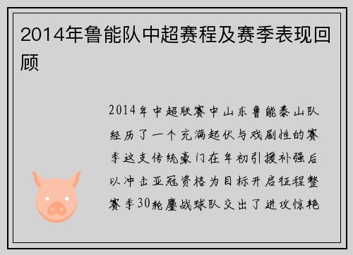 2014年鲁能队中超赛程及赛季表现回顾